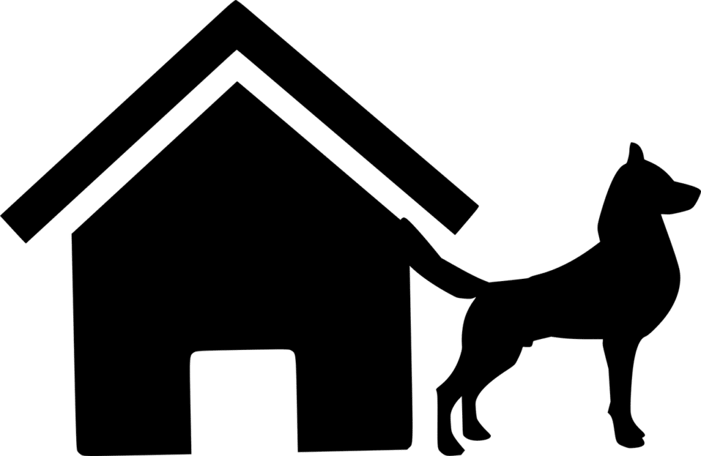 כלב
