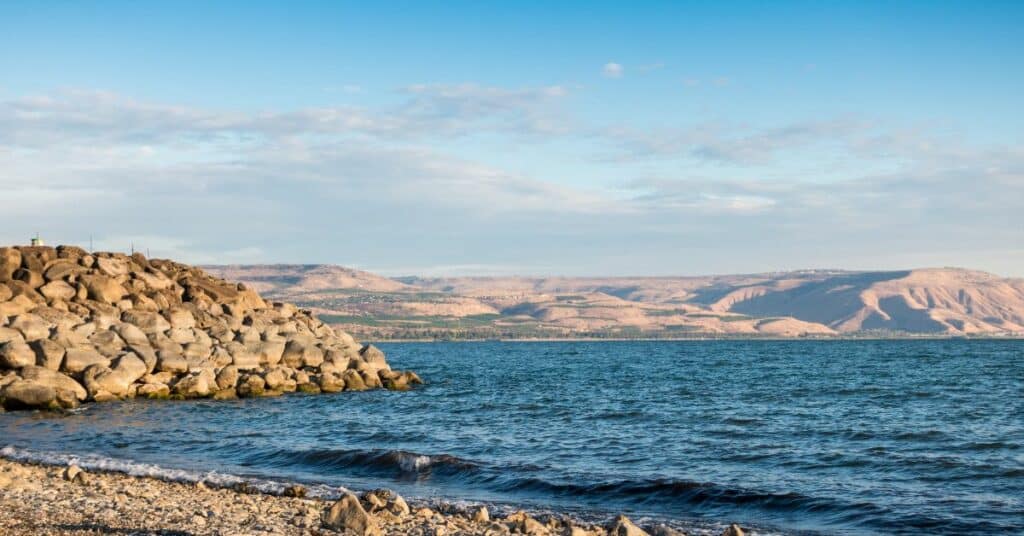 יורדים לכינרת! אלה האטרקציות שאסור לפספס