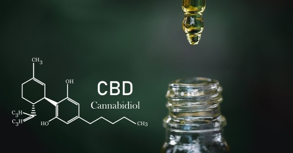 שמן CBD
