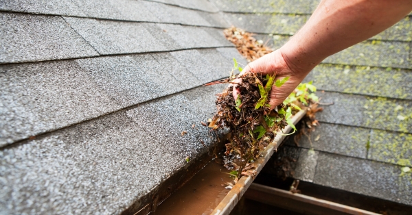 לא כל אחד מתאים למשימה